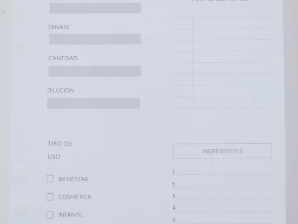Páginas