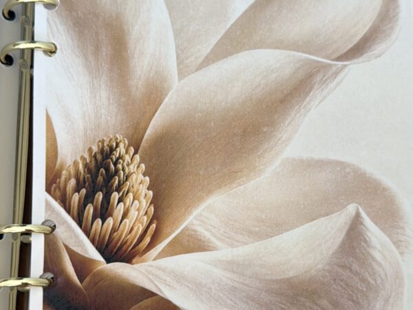 EL MOTIVO · Lámina decorativa en papel vegetal