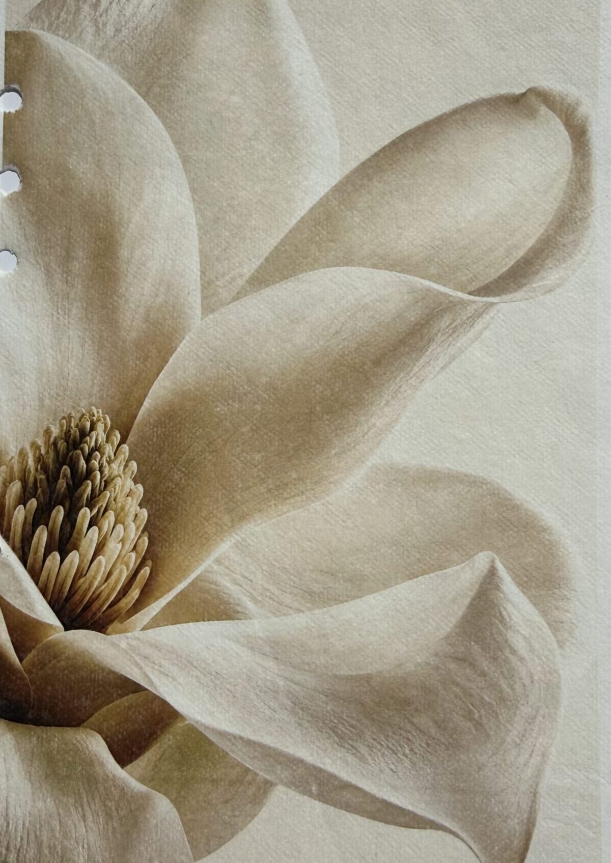 EL MOTIVO · Lámina decorativa en papel vegetal