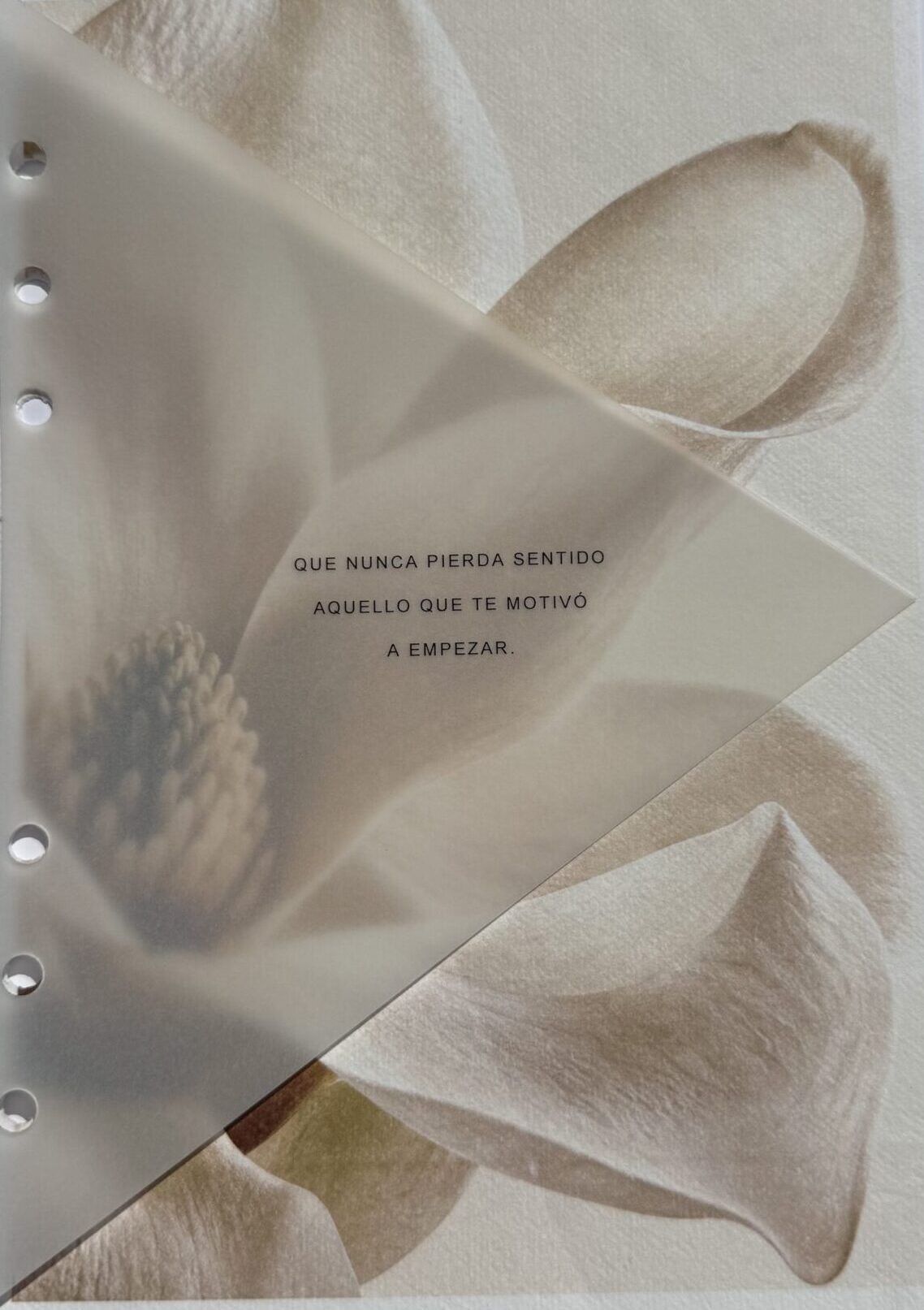 EL MOTIVO · Lámina decorativa en papel vegetal