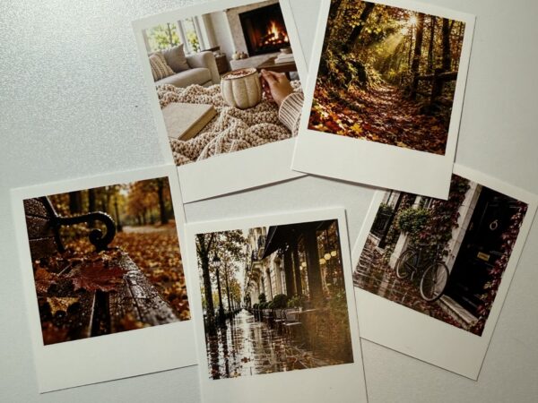 Polaroid · Otoño
