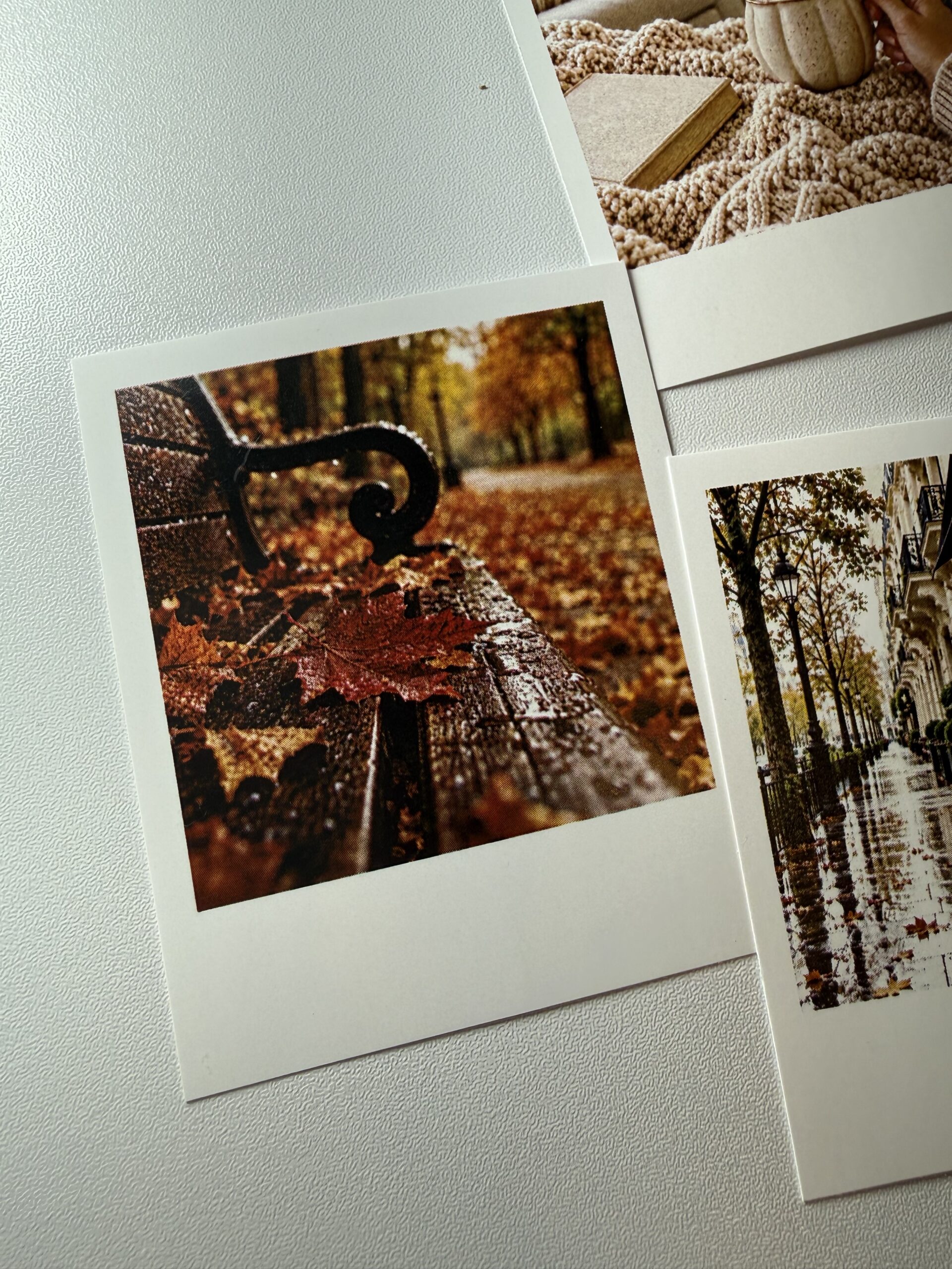 Polaroid · Otoño