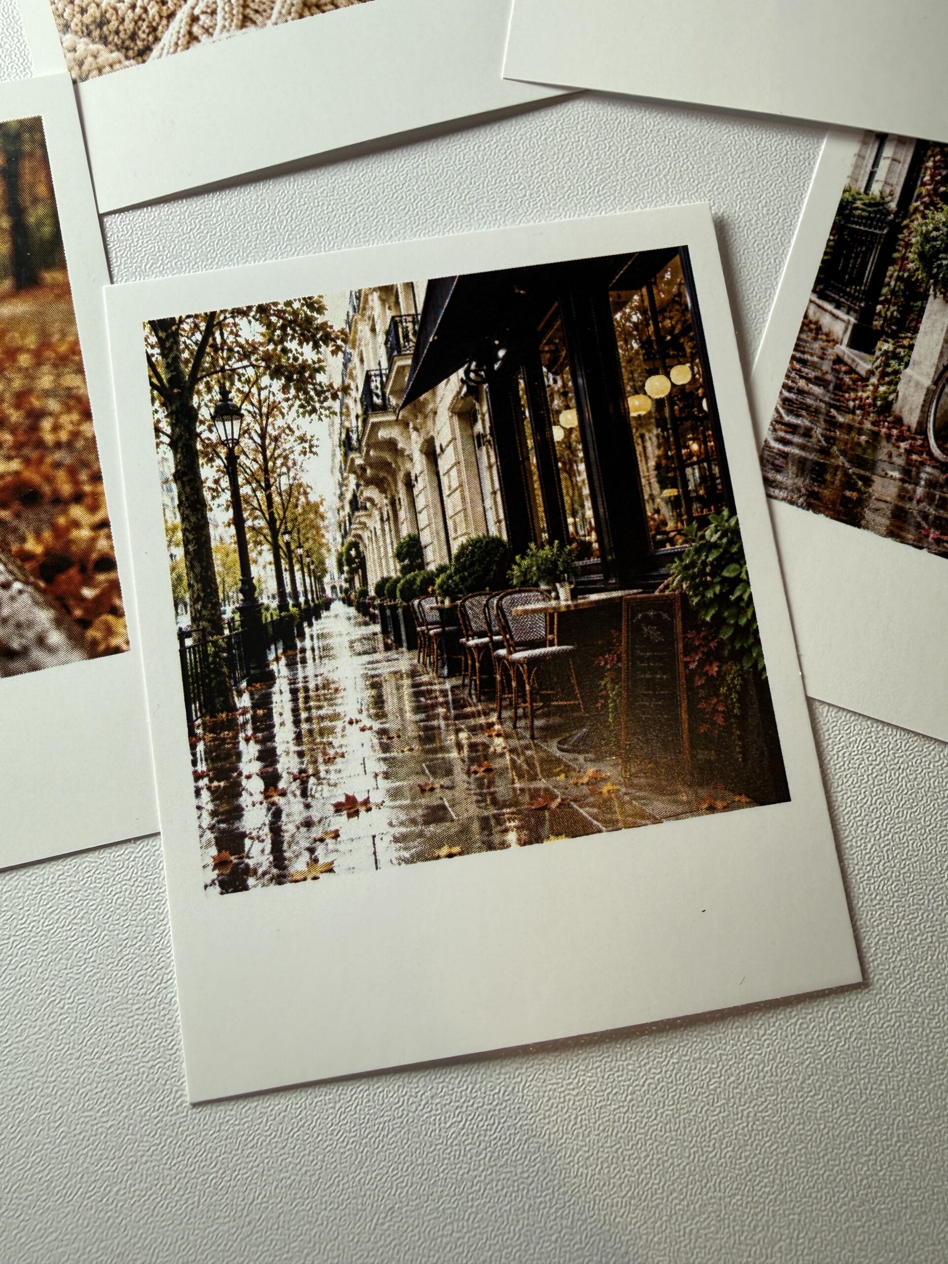 Polaroid · Otoño