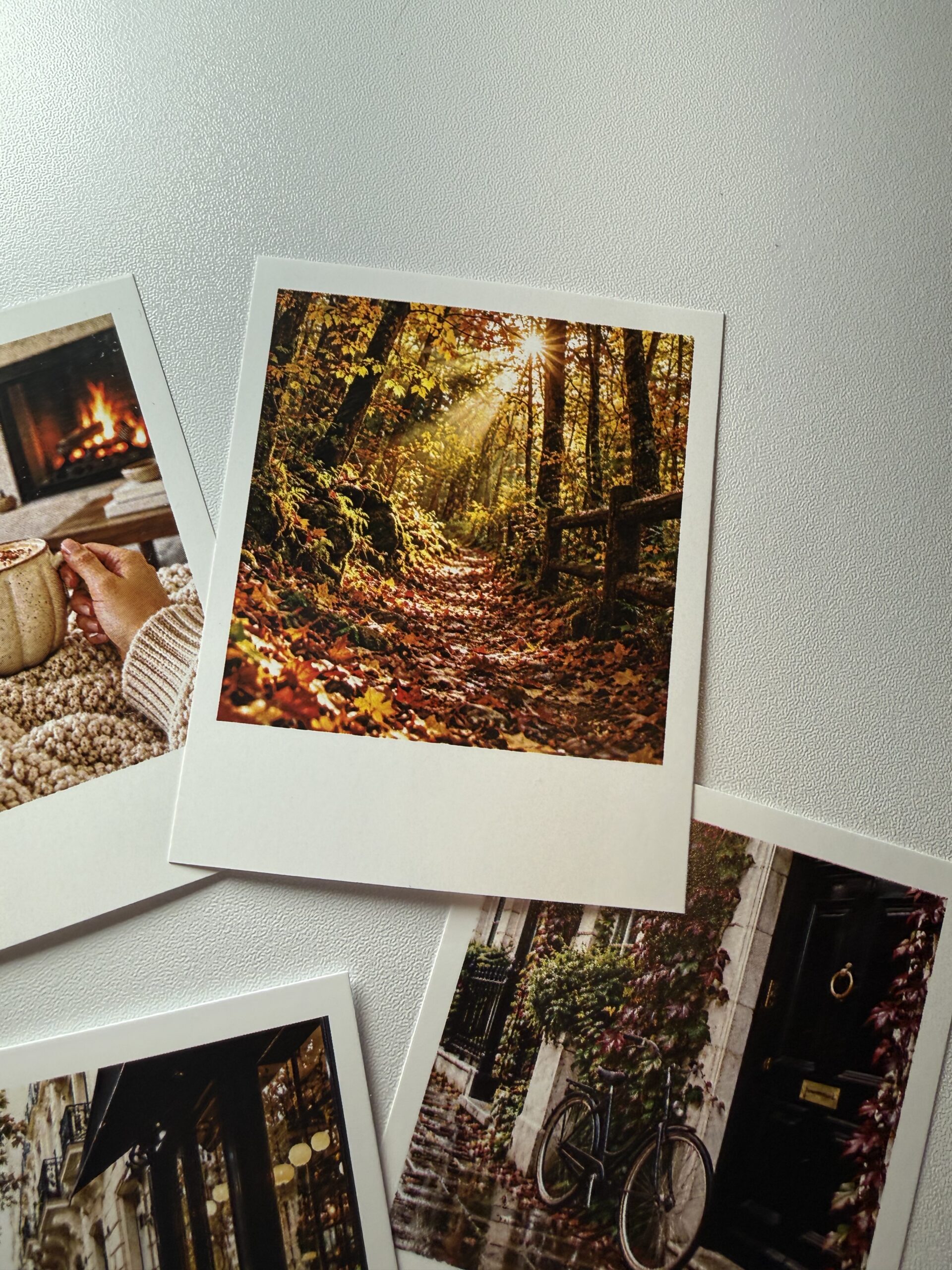 Polaroid · Otoño