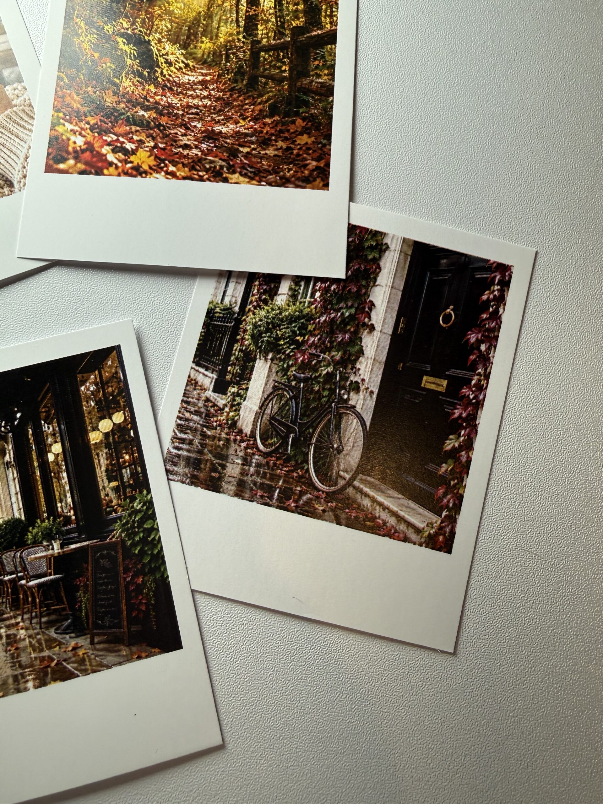 Polaroid · Otoño